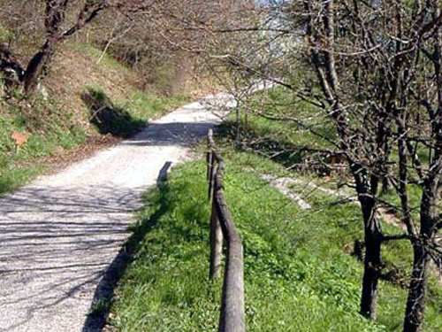 Parco dei Colli